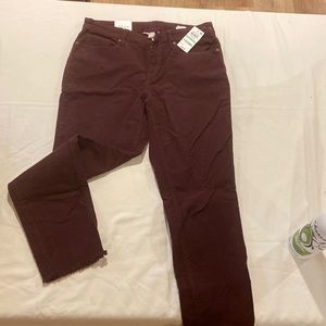 New! Style & Co womens corduroys